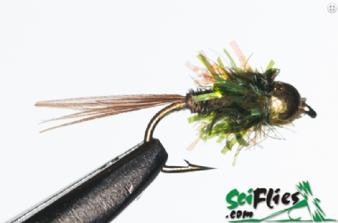 SCIENTIFIC FLIES CRYSTAL THORAX